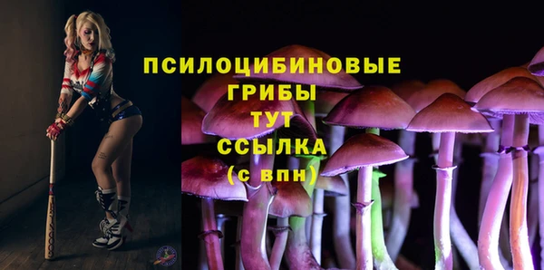 прущий лед Аркадак