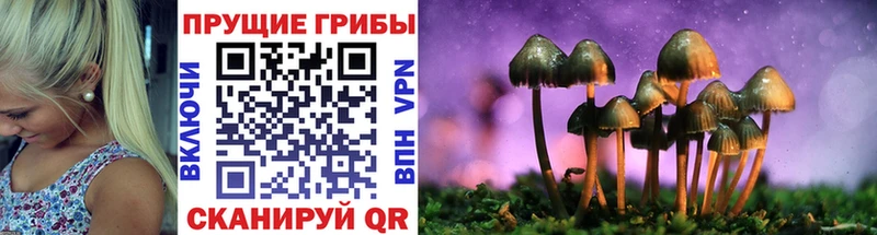 Галлюциногенные грибы ЛСД  blacksprut как зайти  Рудня 